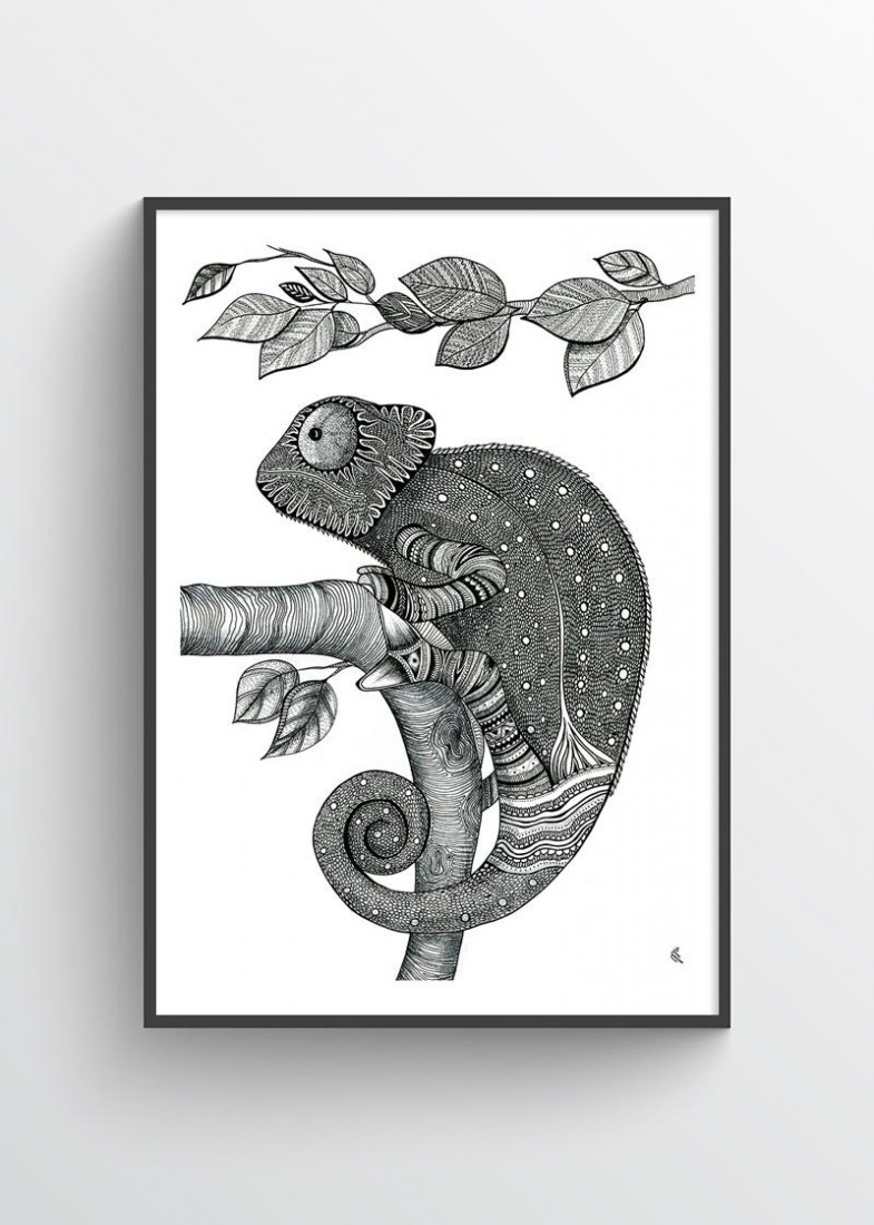 Plakat Kameleon I