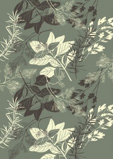 Plakat Basil