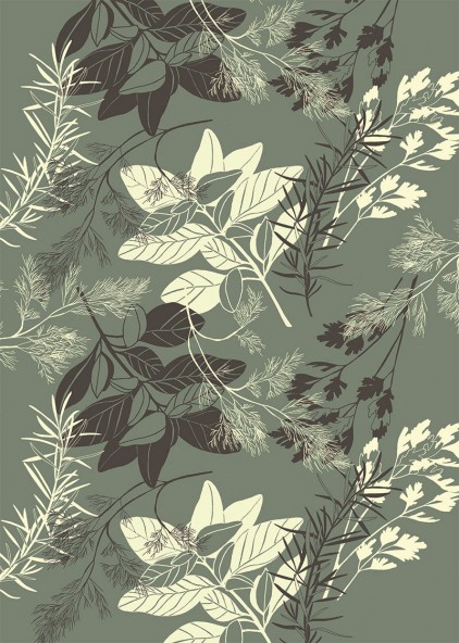 Plakat Basil Plakat Basil