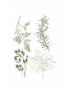 Plakat Herbary