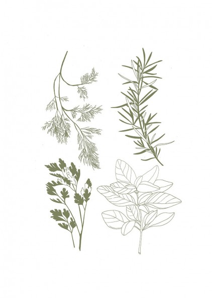 Plakat Herbary Plakat Herbary