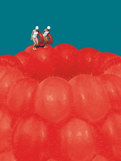 Raspberry Art Print