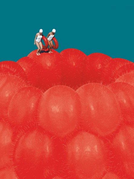 Raspberry Art Print Raspberry Art Print