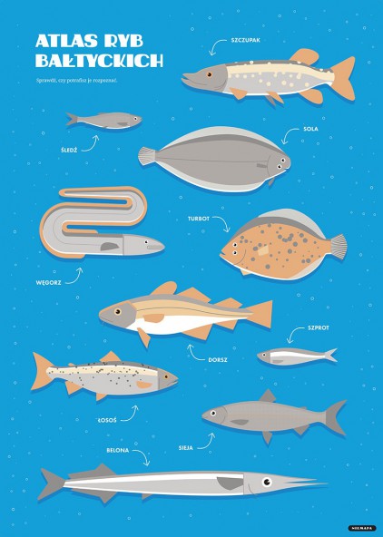 Plakat Ryby Plakat Ryby
