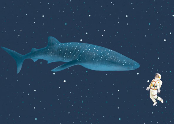 Plakat Rekin wielorybi