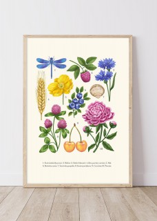 Plakat Lato 2