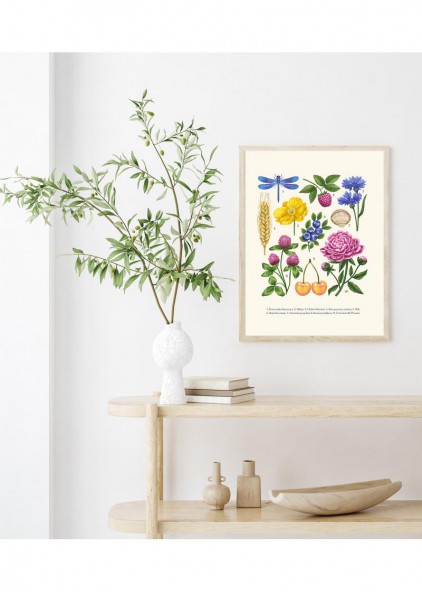 Summer Poster Summer Poster