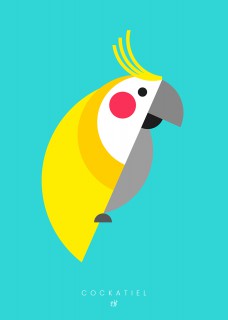 Plakat Cockatiel