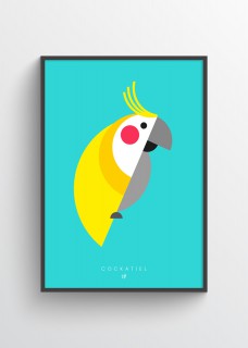 Plakat Cockatiel 2