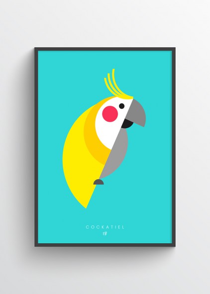 Plakat Cockatiel Plakat Cockatiel