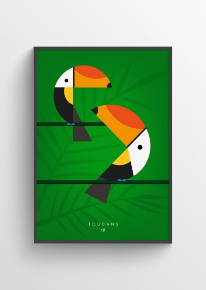 Plakat Toucans Plakat Toucans