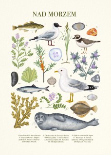 Seaside Poster
