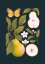 Plakat Gruszki granat Plakat Gruszki granat