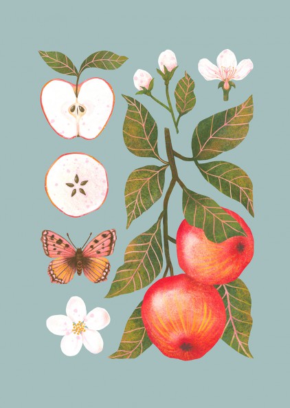 Plakat Jabłka niebieski Plakat Jabłka niebieski