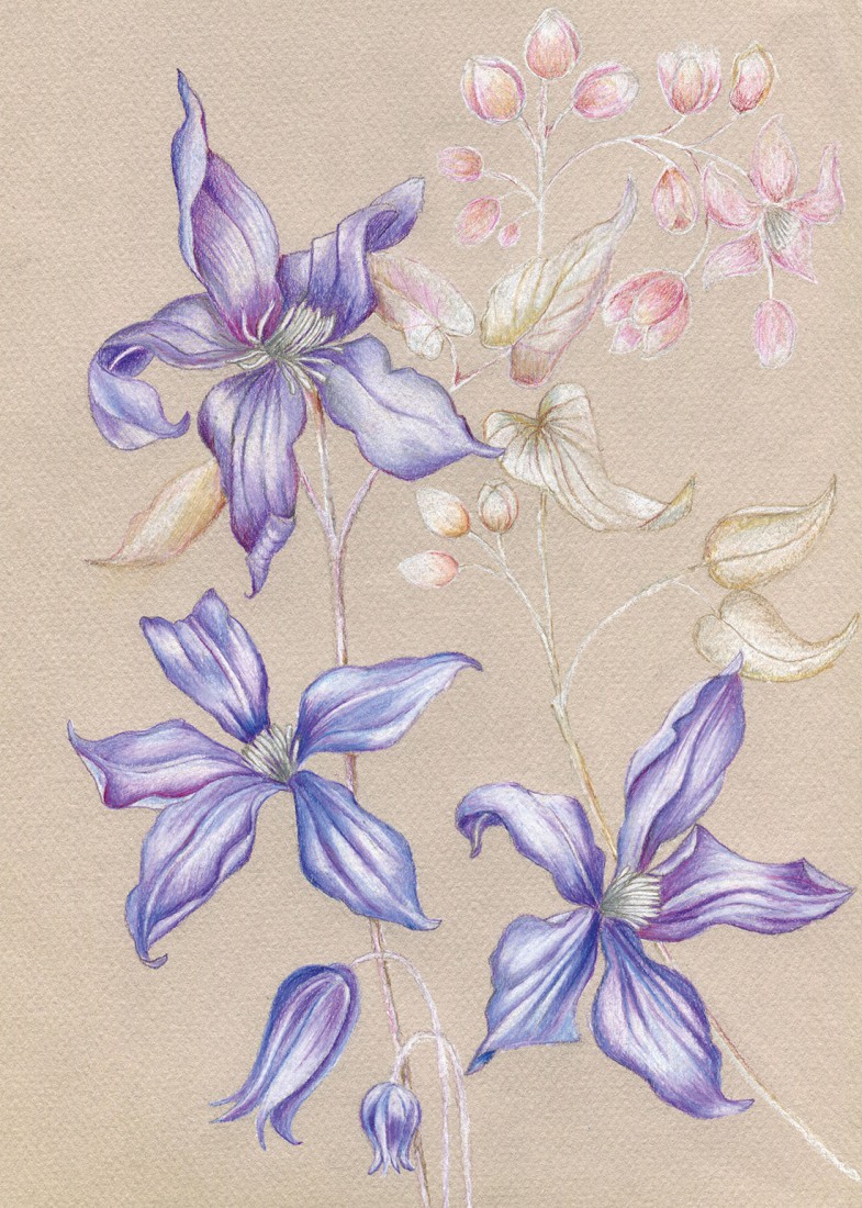 Plakat Fioletowe kwiaty
