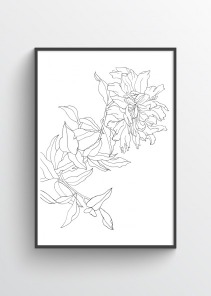Plakat Chryzantema piórkiem Plakat Chryzantema piórkiem