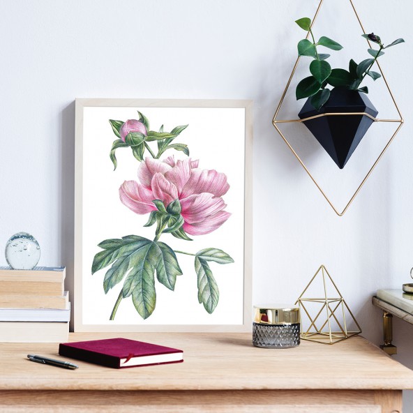 Retro Peony Poster Retro Peony Poster