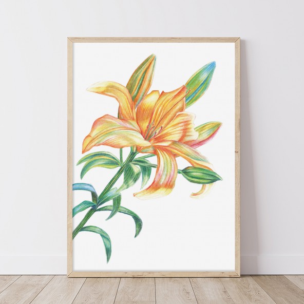 Lily Orange Poster Lily Orange Poster