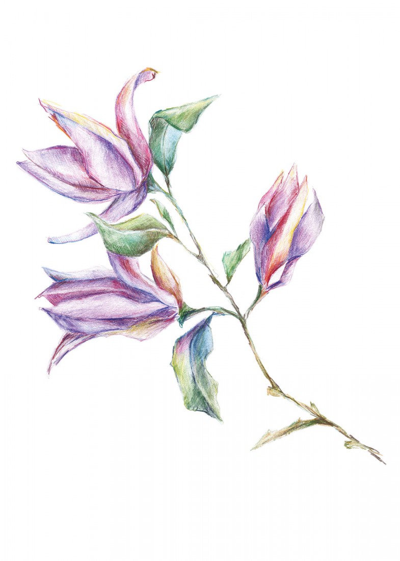 Plakat Japoński fiolet