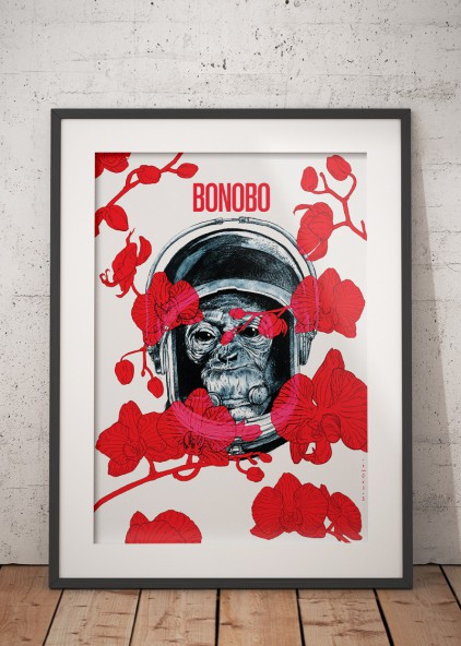 Bonobo Bonobo
