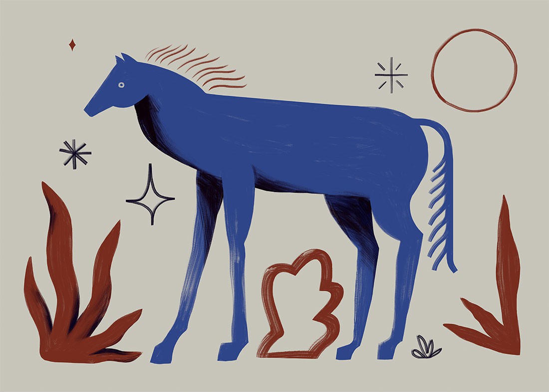 Plakat Gwiezdny koń