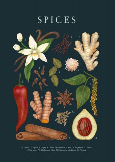 Plakat Spices