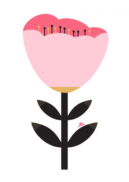 Plakat Tulipan różowy Plakat Tulipan różowy