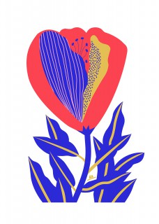Plakat Kwiat czerwony