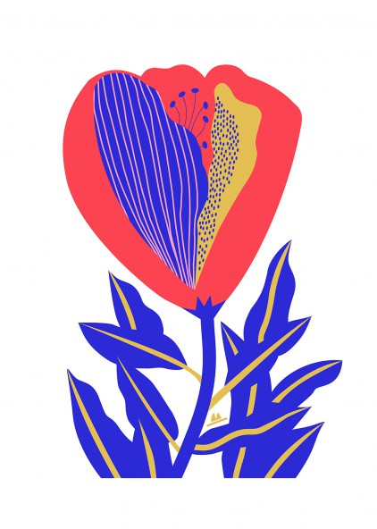 Plakat Kwiat czerwony Plakat Kwiat czerwony