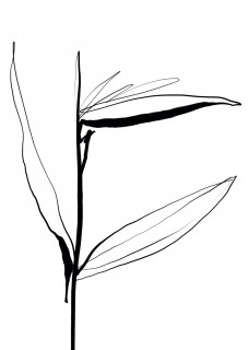 Plakat Strelicja