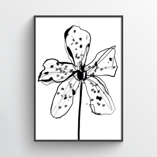 Plakat Orchidea 2
