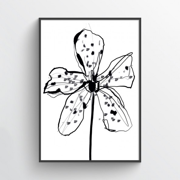 Orchid Poster Orchid Poster