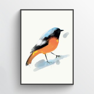 Plakat Birdie 2