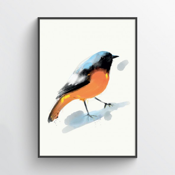 Plakat Birdie Plakat Birdie