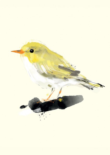 Warbler Poster Warbler Poster