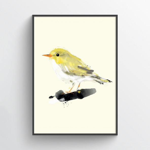 Warbler Poster Warbler Poster