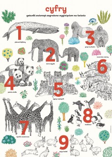 Digits Poster