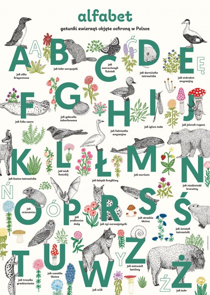 Alphabet Poster Alphabet Poster