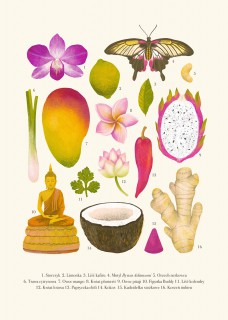 Thailand Poster
