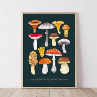 Plakat Grzyby granat 2