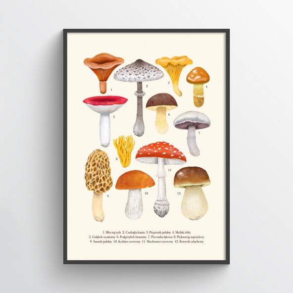 Cream Mushrooms Poster Cream Mushrooms Poster