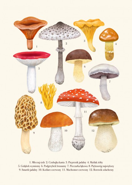 Cream Mushrooms Poster Cream Mushrooms Poster