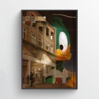 Duck Poster 2