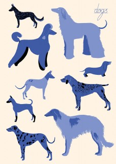 Plakat "Dogs" Kai Wojtygi
