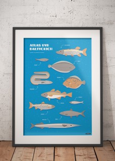 Plakat Ryby 2