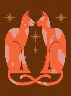 Plakat Kai Wojtygi "Magic Cat"