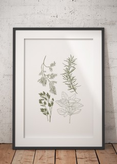 Plakat Herbary 2