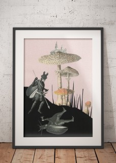 Plakat Grzyby 2