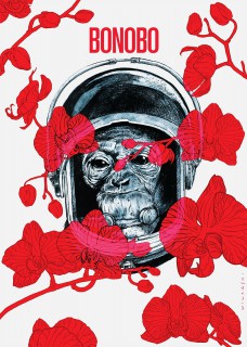 Plakat Bonobo