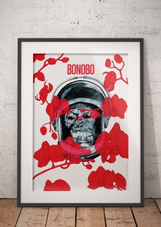 Plakat Bonobo 2